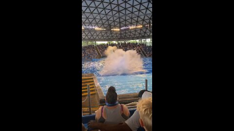 SeaWorld