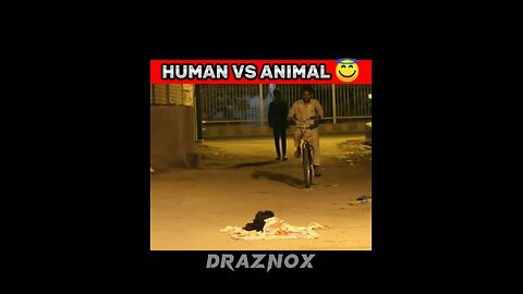 HUMAN VS ANIMAL