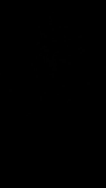 Pre-TRIB rapture is real