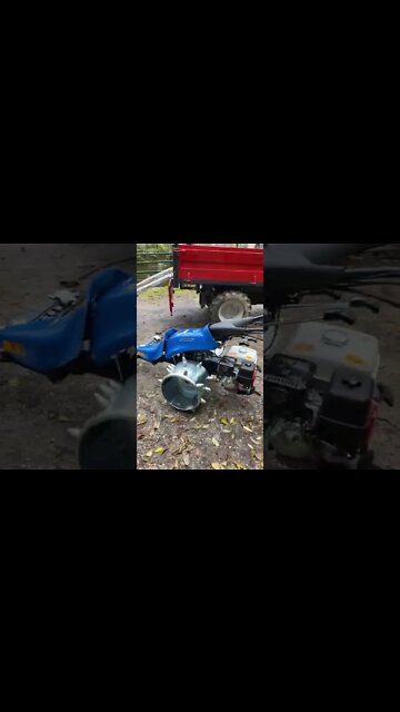 #shorts #2022 funny,prank,funjokes,dad jokes,funny memes,funny video,fun,laughing,funny animal,knock