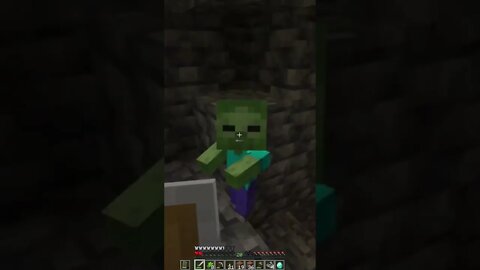 Why Everyone HATES Baby Zombies! #minecraft #shorts