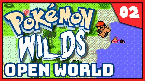 Pokémon Wilds Fan Game #2