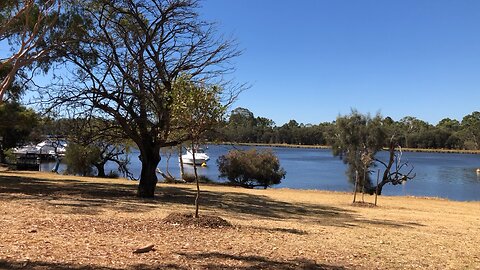 Australian summer day 👌🌞👌