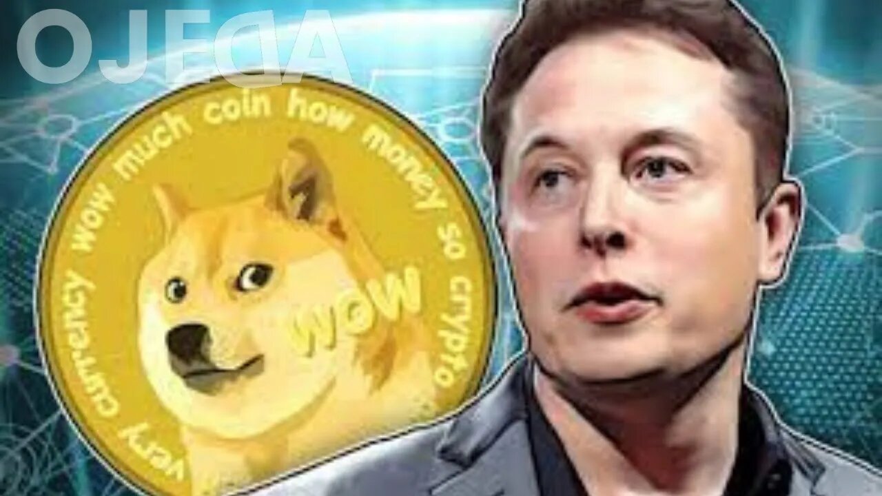 Devo comprar DOGECOIN? e Alerta: Cuidado com os Coachs de criptomoedas!