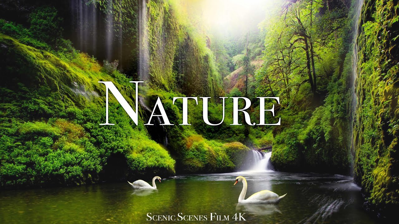 Nature In 4K - Breathtaking Scenes Around The World | Nature Sounds | Scenic Relaxation Film