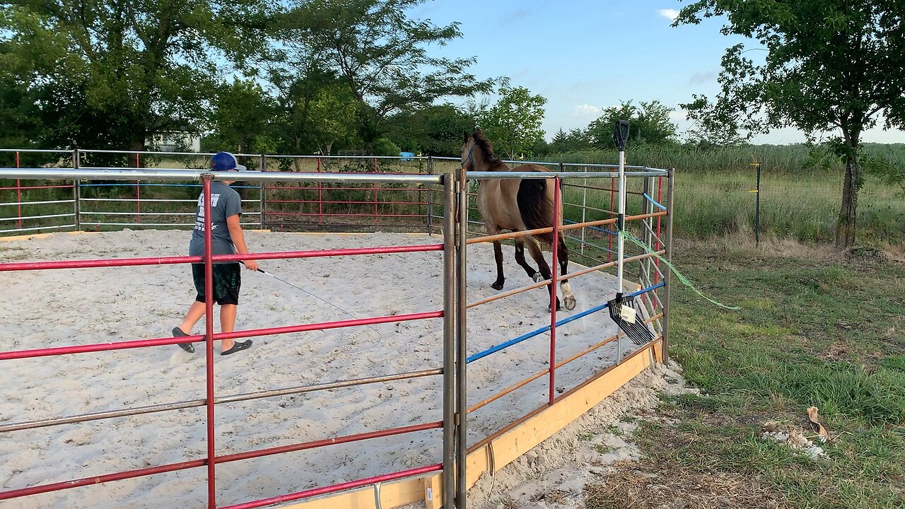 Growing up Cowboy