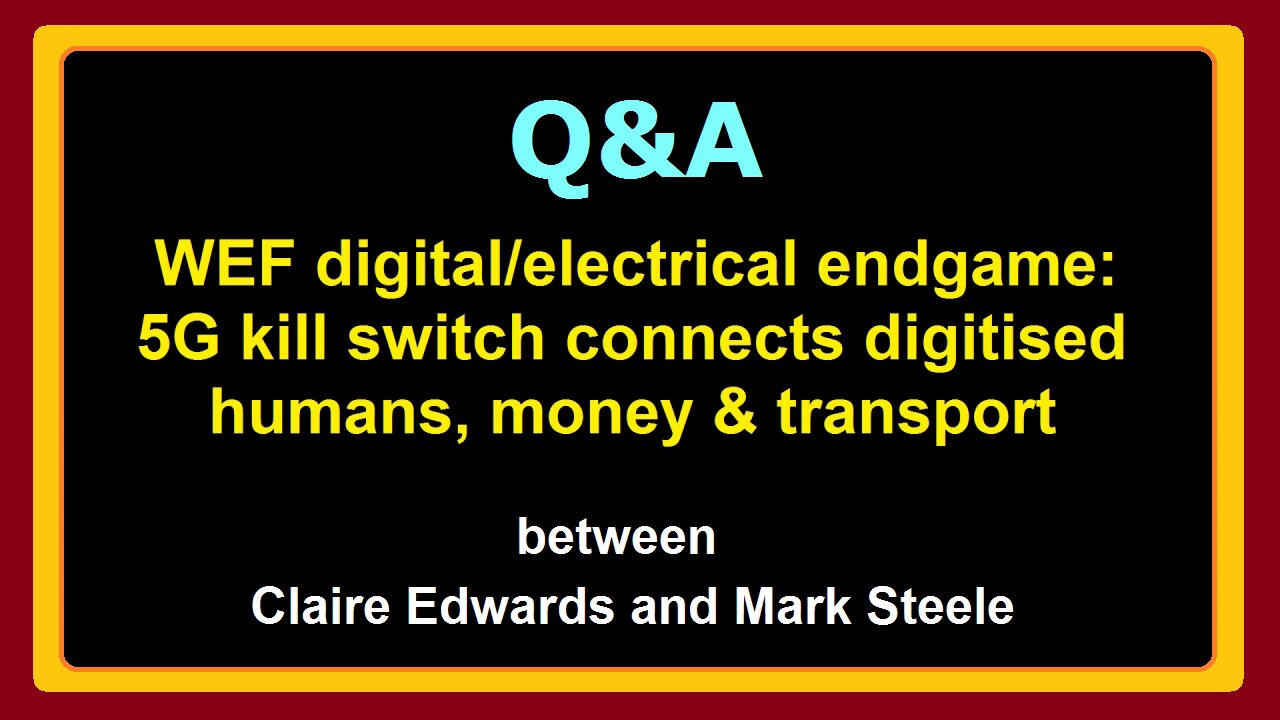 Mark Steele and Claire Edwards: follow-up to WEF digital/electrical endgame