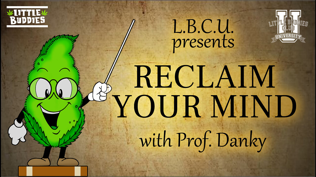 RECLAIM YOUR MIND with PROF. DANKY