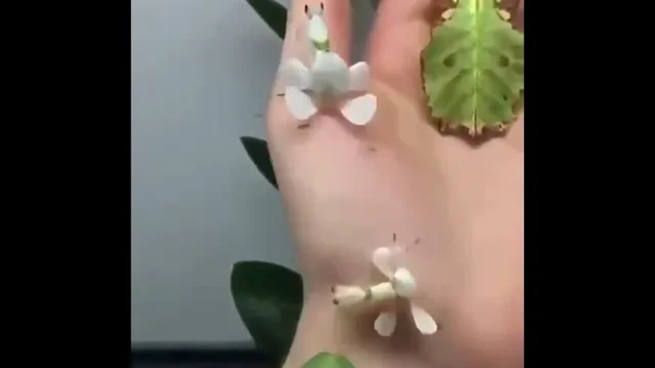 ۱۵ اوت ۲۰۲۲