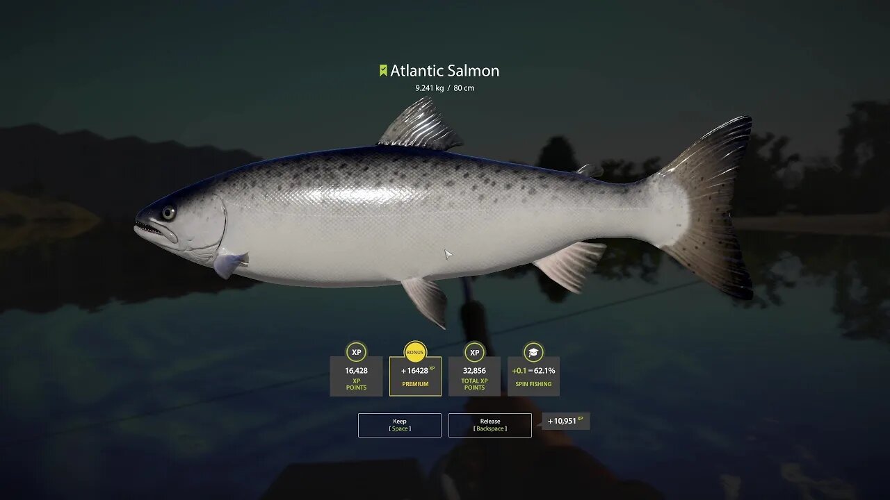 Russian Fishing 4 Volkhov River Atlantic Salmon 9 . 241 Kg