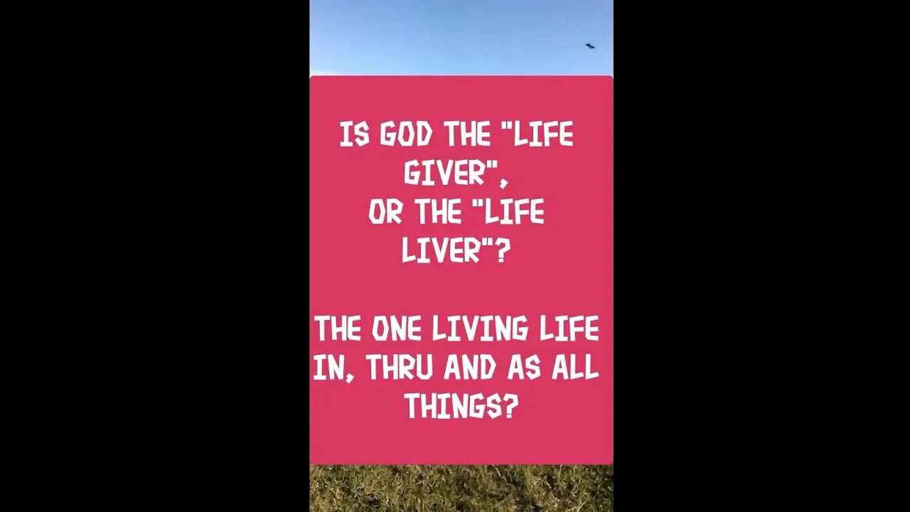 Morning Musings # 238 - Is God The "Life Giver" or The "Life Liver"? The Source Living Life As Us? 🤔