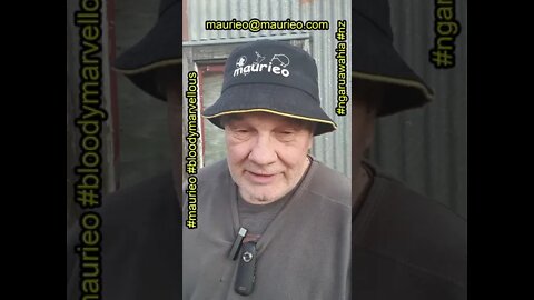 maurieo #shorts THE BOUNCY CASTLE BLOWER