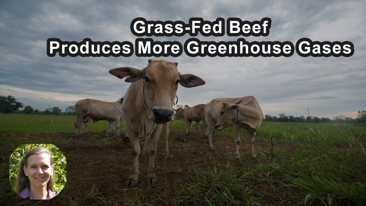 Grass-Fed Beef Can Actually Produce More Greenhouse Gases