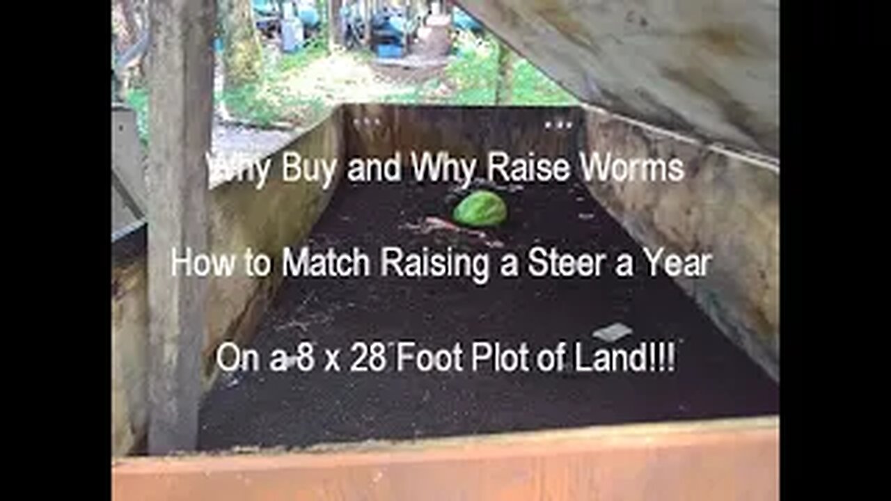 WHY BUY WORMS