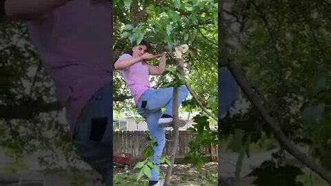 How to Cut a Tree