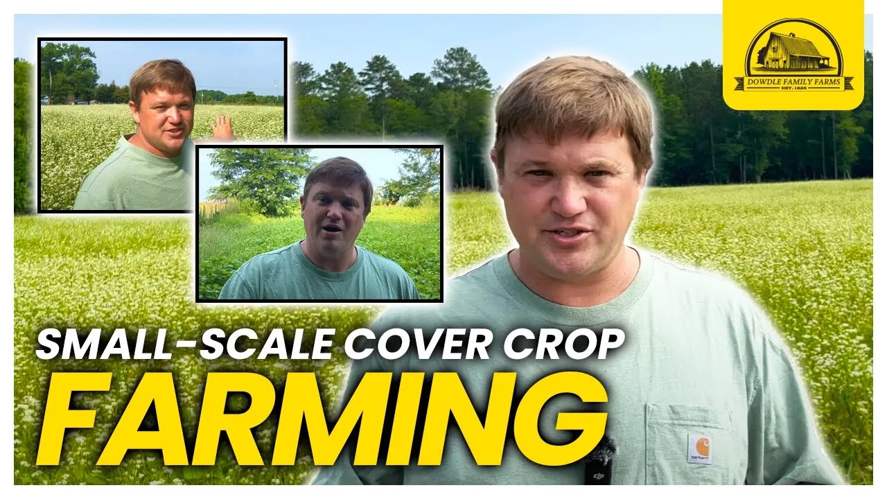 Planting Cover Crops with a Disc: Regenerative Agriculture on a Small Scale