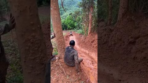 #shorts #2022 funny,prank,funjokes,dad jokes,funny memes,funny video,fun,laughing,funny animal,knock