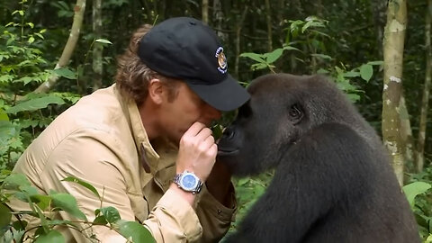 Animals Reunited With Owners AFTER YEARS!