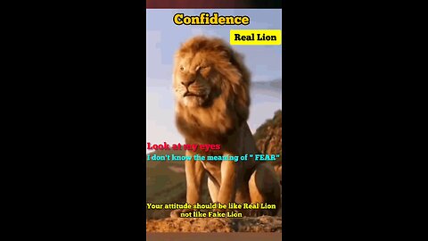 Real Lion vs Fake Lion