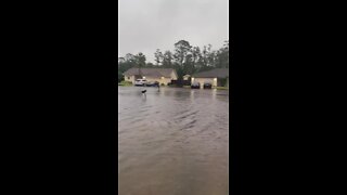 Flooding in Eat Orlando | Video Credit: Aaron Pullin