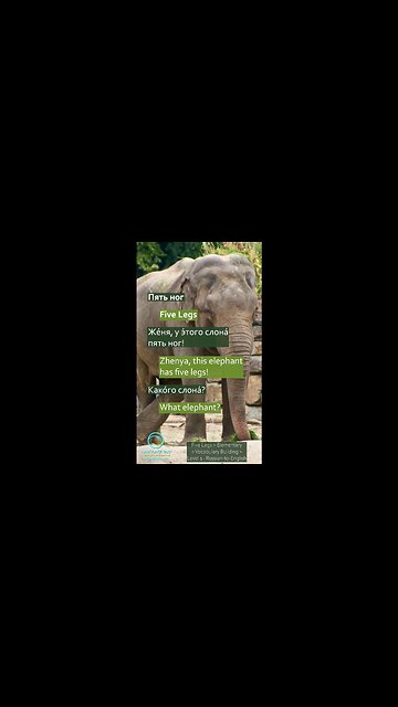 Five Legs: Russian-to-English #shorts