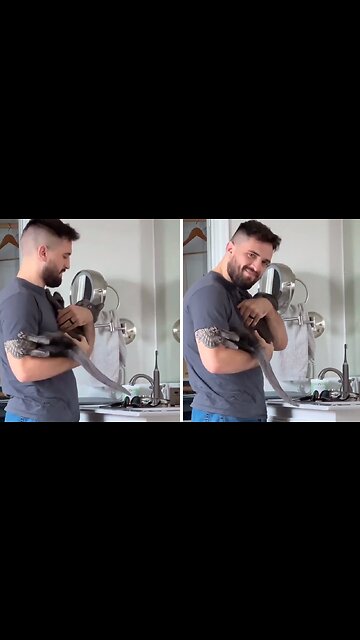 Smoothest Possible Way To Cuddle Your Cat