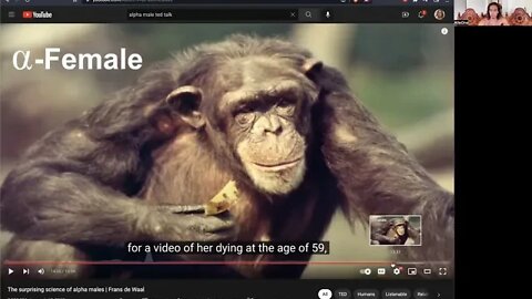 "ALPHA" MALE/FEMALE MISCONCEPTIONS TED TALK - Organic leadership is almost extinct -- primate study