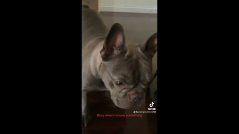 Grey when I move something.