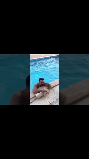 #shorts #2022 funny,prank,funjokes,dad jokes,funny memes,funny video,fun,laughing,funny animal,knock