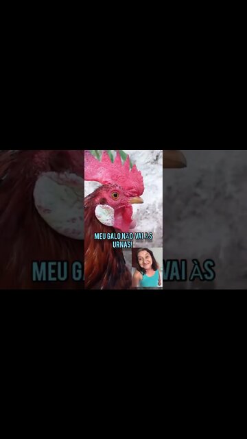 Meu Galo não vai às urnas! Ele queria Intervenção militar