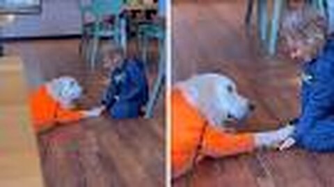 Sweet dog and little boy instantly become friends