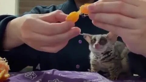 please want a piece