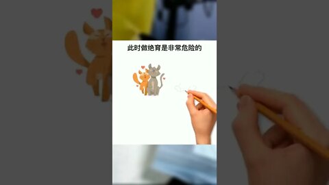猫咪羞羞事之什么样的猫不能绝育？#萌宠#猫#猫咪#猫知识#猫咪绝育#科普知识