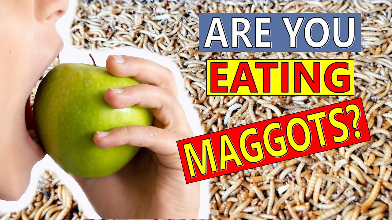 MOST People Eat Maggots. Are YOU one of them?