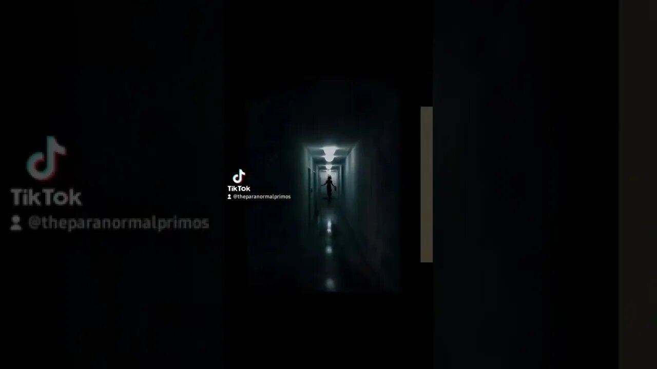 The Paranormal Primos