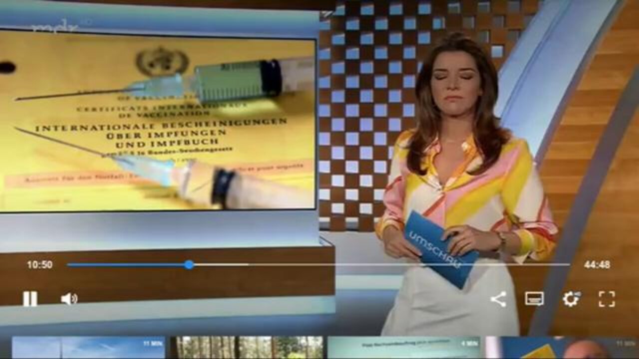 Wer den Schaden hat...