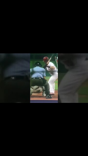 Squirrel Interrupts Game #shorts