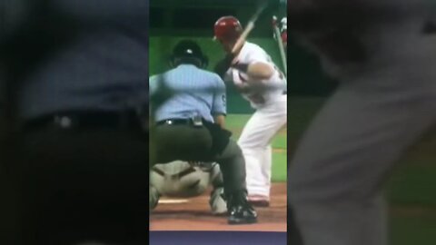 Squirrel Interrupts Game #shorts