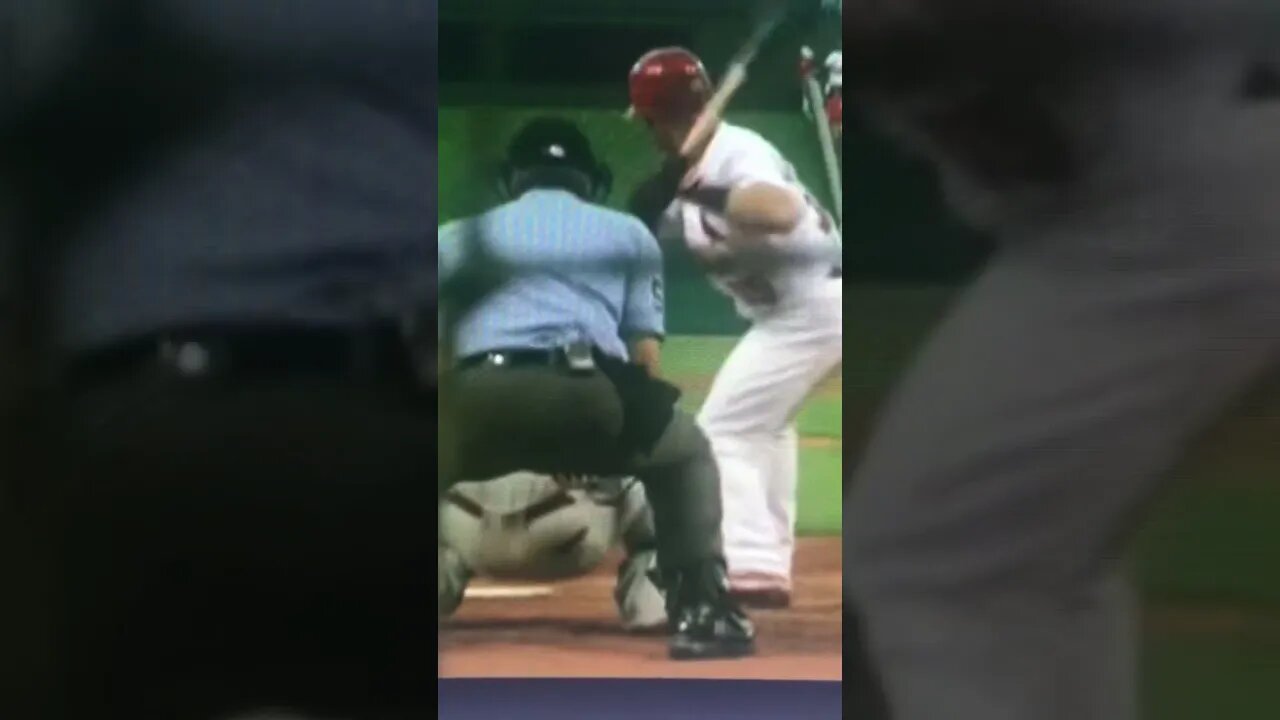 Squirrel Interrupts Game #shorts