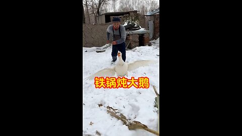 80 Biaozi--Goose stew in an iron pot