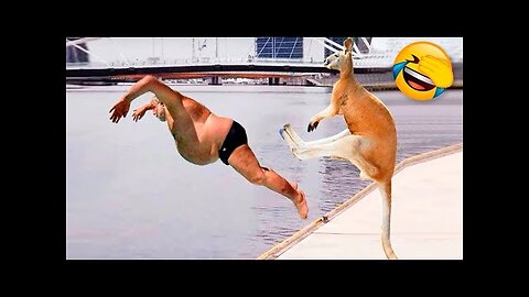 Funny Animals Video - Best Cats😹 and Dogs🐶 Videos of the Month 2022!