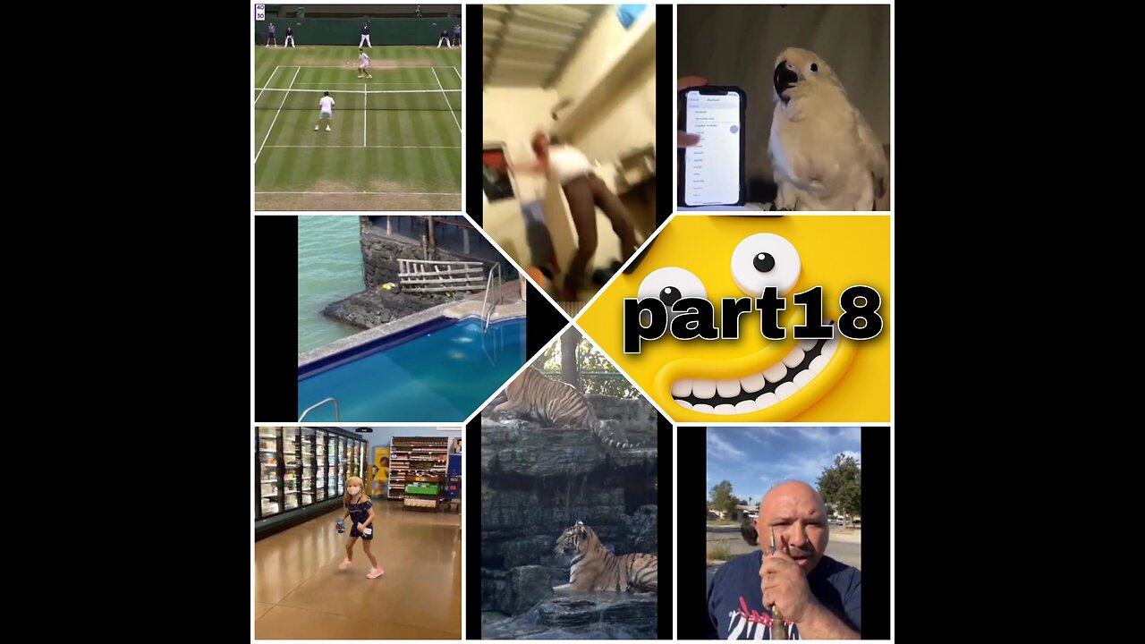 Collection of funny video part18