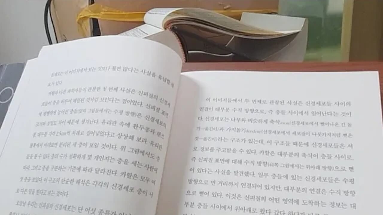 천개의 뇌, 제프 호킨스, 신피질, 국지적회로, 시냅스, 신경세포, 축삭, 가지돌기, 감각영역, 청각, 촉각
