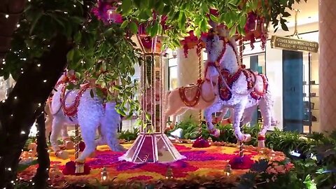 A Las Vegas Christmas ~ 2016