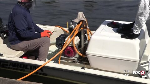 Cape Coral begins to treat blue-green algae blooms