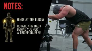 Dumbbell Tricep Kickback