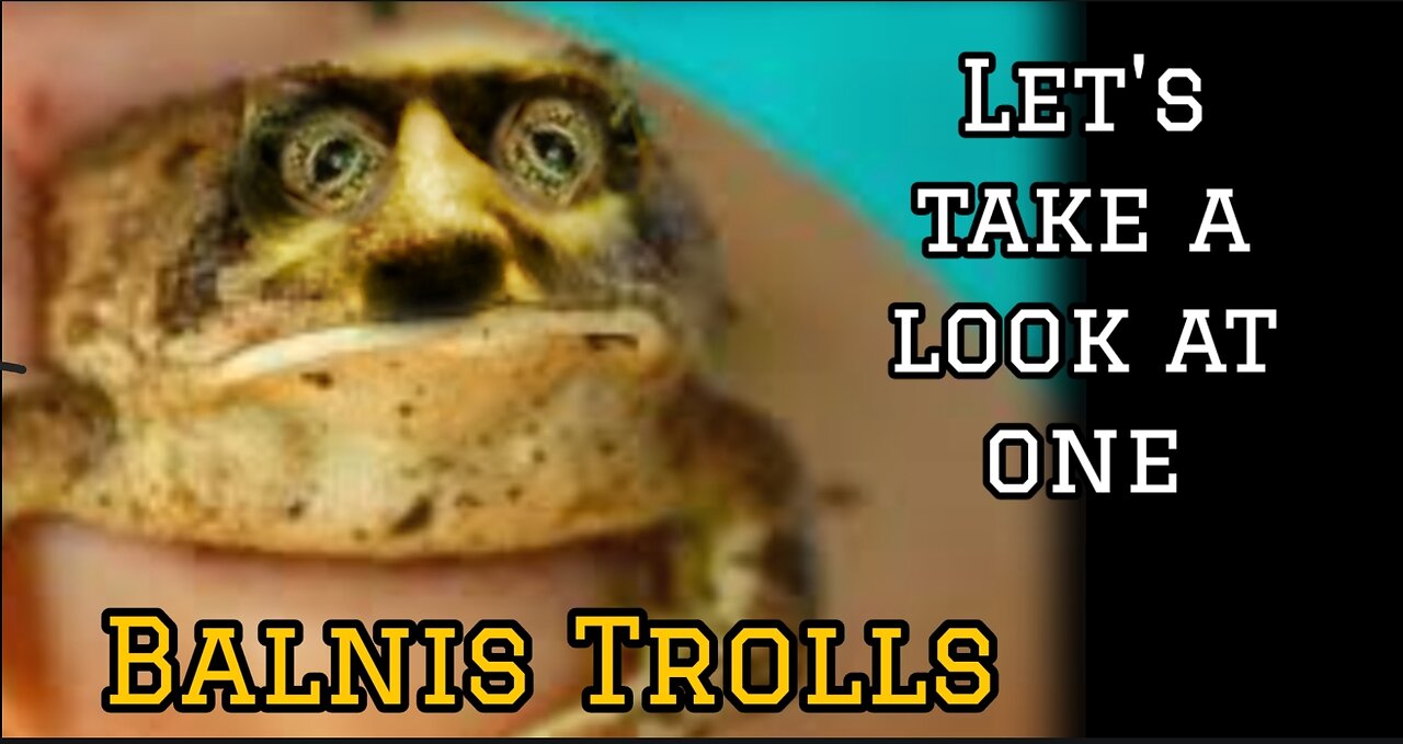 Troll Spots: Amphibian.
