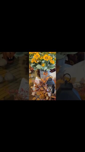 Halloween at the Garden Center