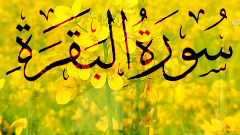 Recite Surah Al baqarah(176-180) in beautiful Voice with urdu Translation