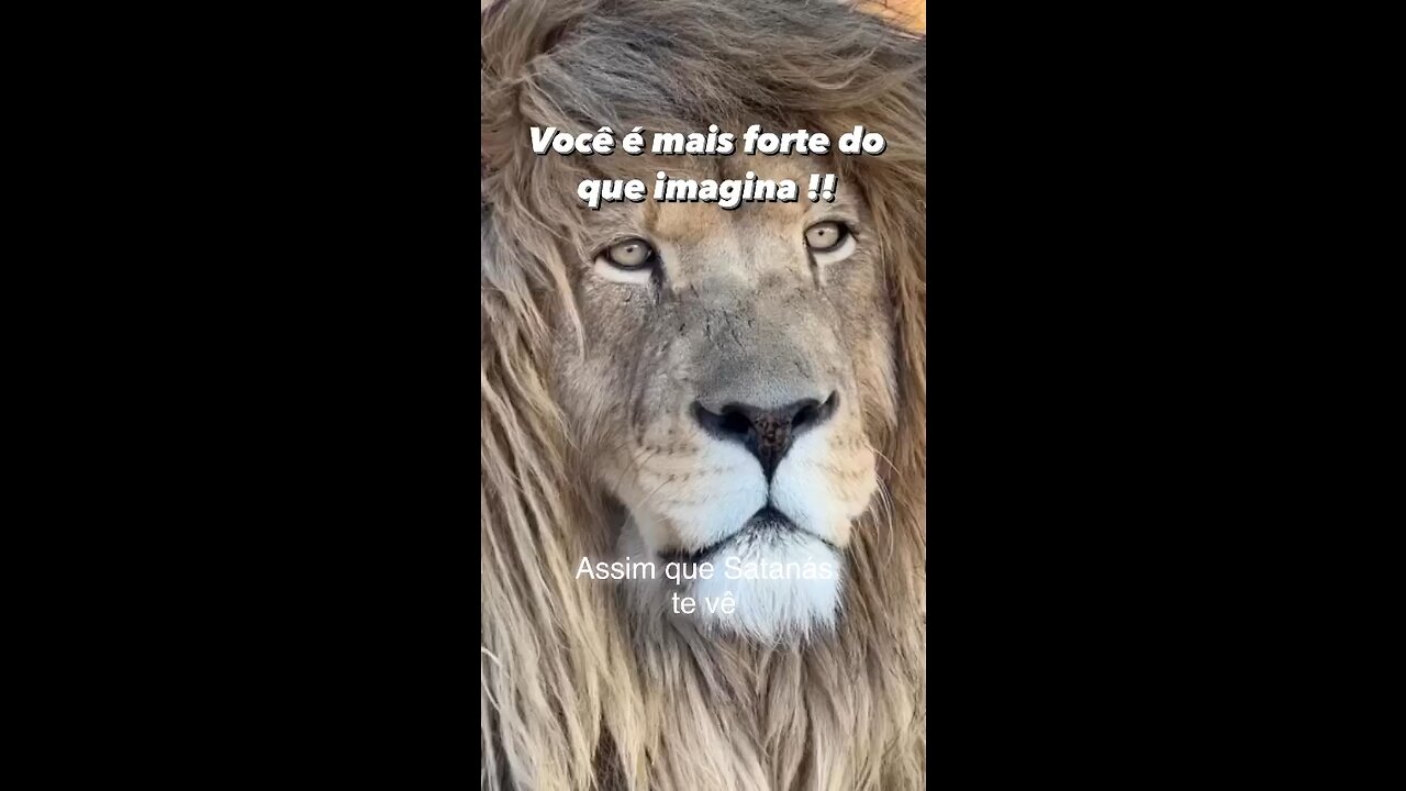 A força é sabedoria do alto